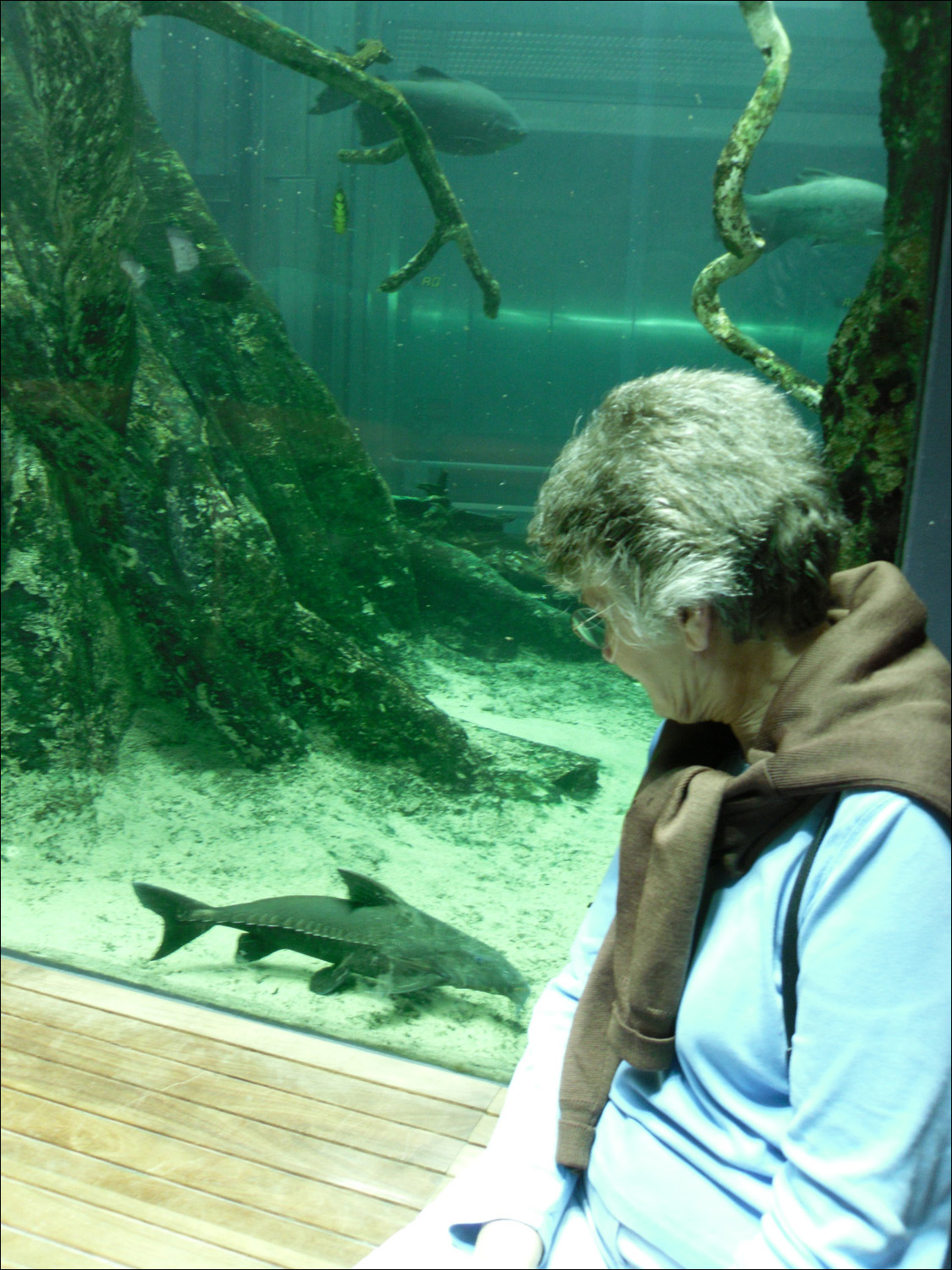 Anne McCarthy in underwater tunnel